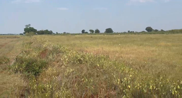5 Acres Agriculture Land for Sale in Bidar District, Karnataka | ₹18 Lakhs/Acre | BHOOVIX BX-33433