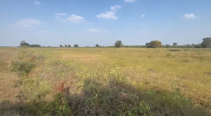5 Acres Agriculture Land for Sale in Bidar District, Karnataka | ₹18 Lakhs/Acre | BHOOVIX BX-33433