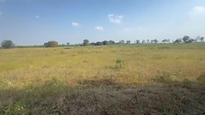 5 Acres Agriculture Land for Sale in Bidar District, Karnataka | ₹18 Lakhs/Acre | BHOOVIX BX-33433