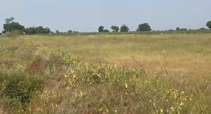5 Acres Agriculture Land for Sale in Bidar District, Karnataka | ₹18 Lakhs/Acre | BHOOVIX BX-33433