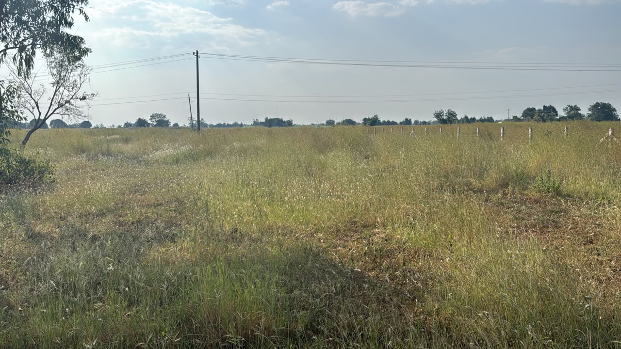 1 Acre Agriculture Land for Sale in Basavakalyan, Bidar, Karnataka | ₹24 Lakhs/Acre | BHOOVIX BX-33444