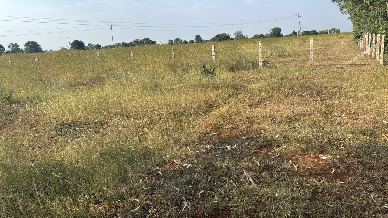 1 Acre Agriculture Land for Sale in Basavakalyan, Bidar, Karnataka | ₹24 Lakhs/Acre | BHOOVIX BX-33444