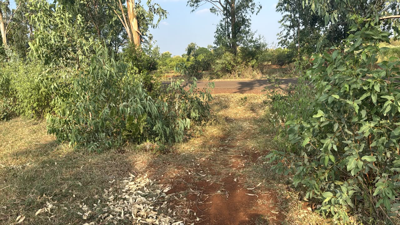 1 Acre Agriculture Land for Sale in Basavakalyan, Bidar, Karnataka | ₹24 Lakhs/Acre | BHOOVIX BX-33444