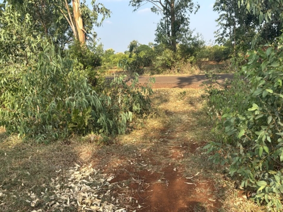 1 Acre Agriculture Land