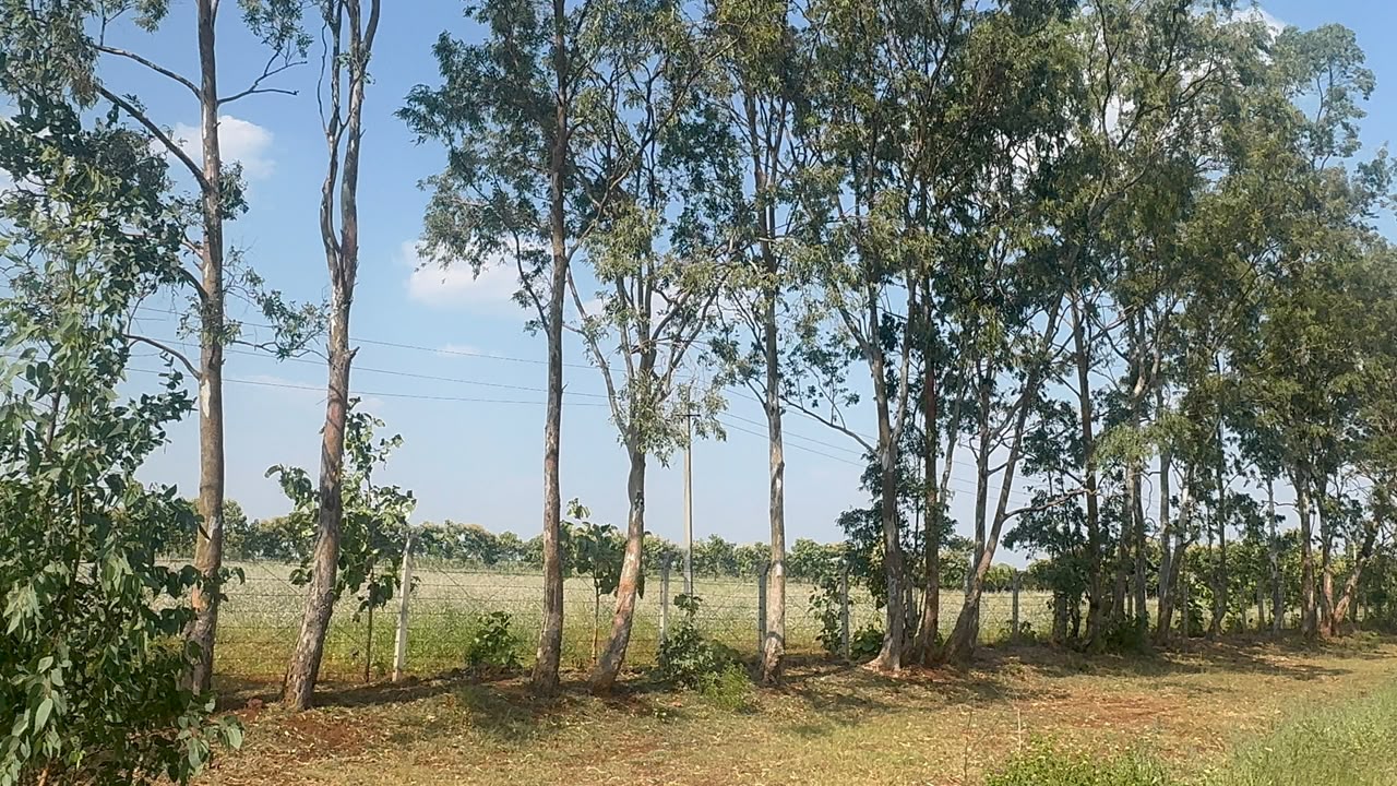 30 Acres Agricultural Farm Land for Sale in Rajeshwar Village, Bidar, Karnataka | ₹32 Lakhs/Acre | BHOOVIX BX-33452