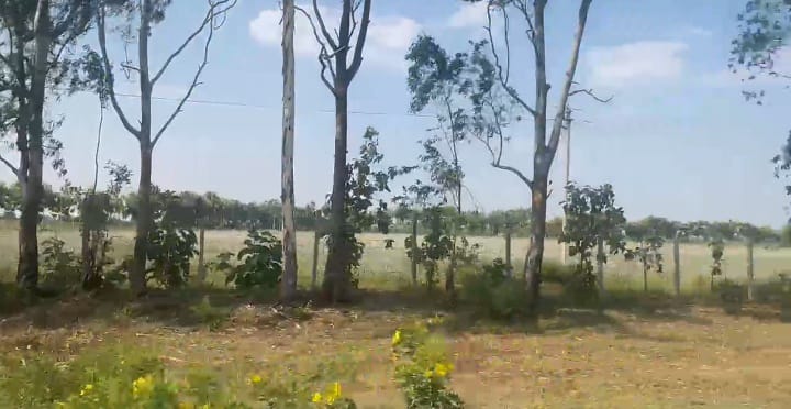 30 Acres Agricultural Farm Land for Sale in Rajeshwar Village, Bidar, Karnataka | ₹32 Lakhs/Acre | BHOOVIX BX-33452
