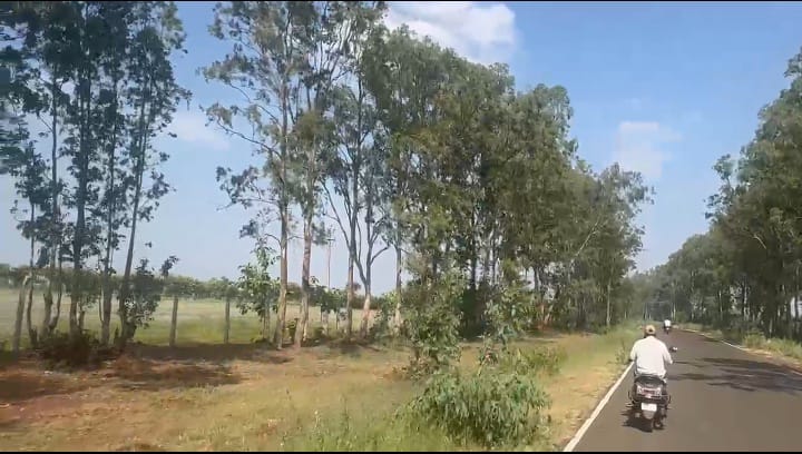 30 Acres Agricultural Farm Land for Sale in Rajeshwar Village, Bidar, Karnataka | ₹32 Lakhs/Acre | BHOOVIX BX-33452