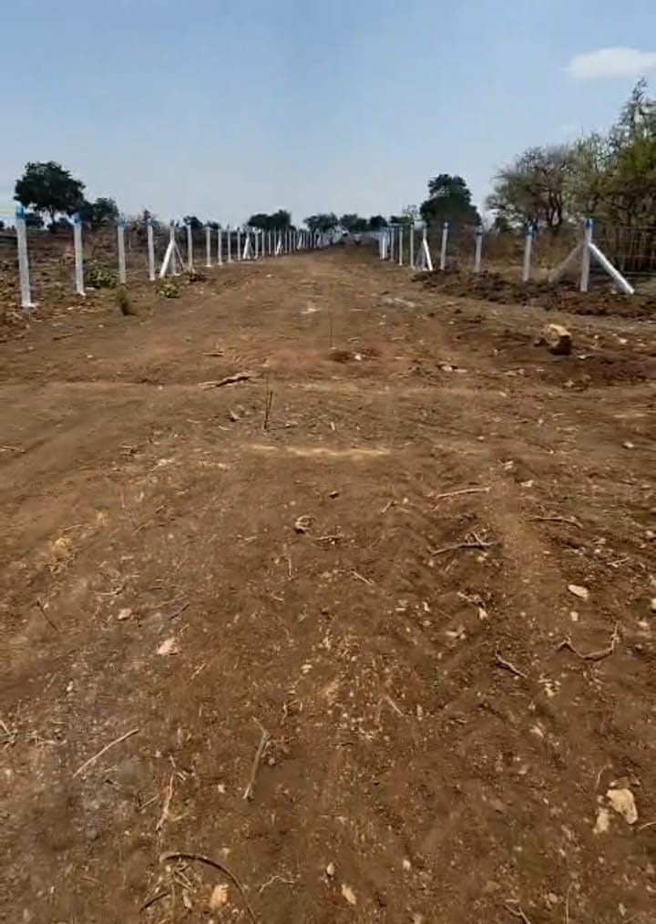 3 Acres Black Soil Agricultural Land for Sale in Kotpally, Vikarabad District, Telangana | ₹40 Lakhs/Acre | BHOOVIX BX-33530
