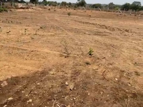 3 Acres Agriculture Land
