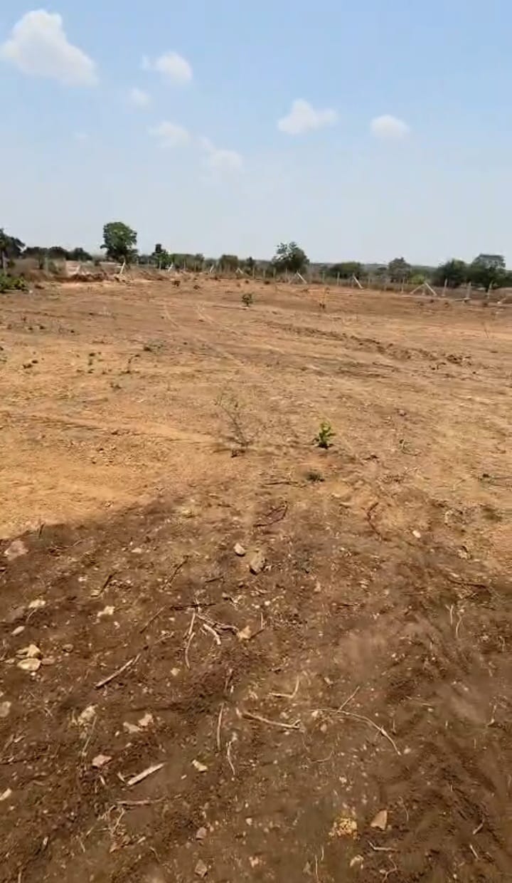 3 Acres Agriculture Land