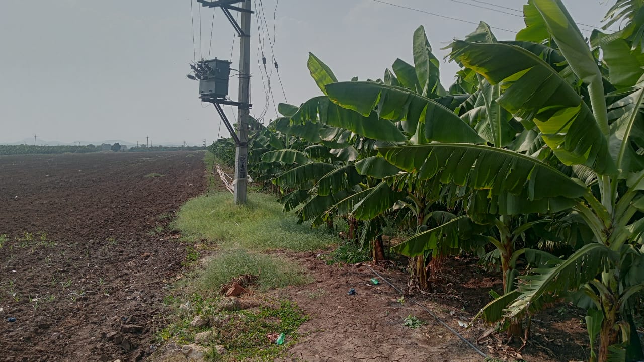 5 Acres Black Soil Agriculture Land for Sale in Putlur Mandal, Anantapur District, Andhra Pradesh | ₹40 Lakhs/Acre | BHOOVIX BX-33560