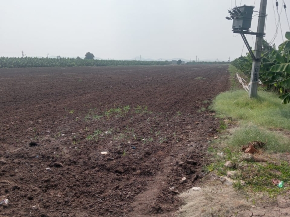 5 Acres Black Soil Agriculture Land