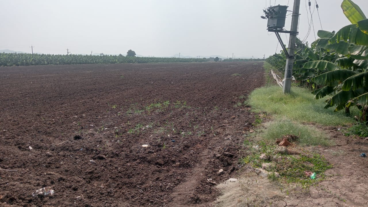 5 Acres Black Soil Agriculture Land