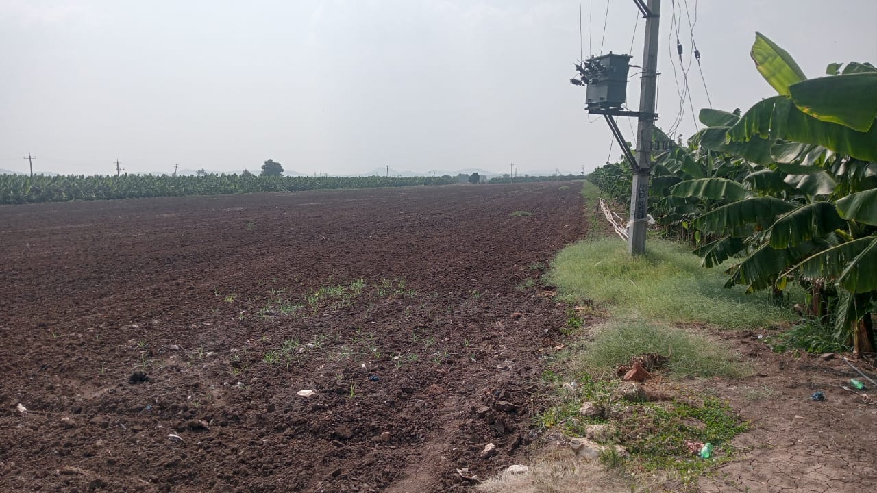 5 Acres Black Soil Agriculture Land for Sale in Putlur Mandal, Anantapur District, Andhra Pradesh | ₹40 Lakhs/Acre | BHOOVIX BX-33560