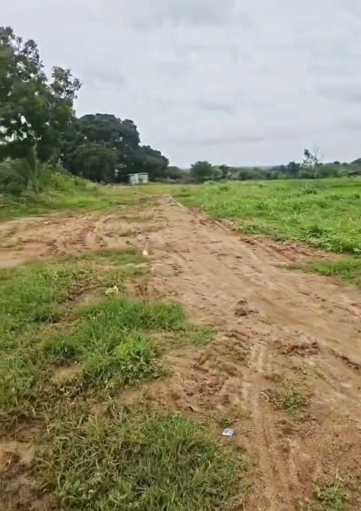 1 Acre Red Soil Agriculture Land for Sale in Andole Mandal, Sangareddy District, Telangana |  65 lakhs per acre| BHOOVIX BX-33578