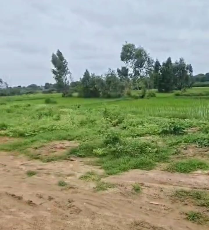 1 Acre Red Soil Agriculture Land for Sale in Andole Mandal, Sangareddy District, Telangana |  65 lakhs per acre| BHOOVIX BX-33578