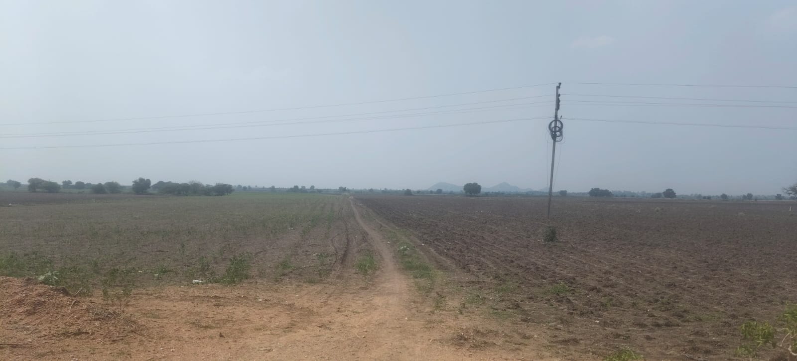 19 Acres Black Soil Agricultural Land for Sale National Highway to 3rd Bit, Andhra Pradesh | BHOOVIX BX-33605