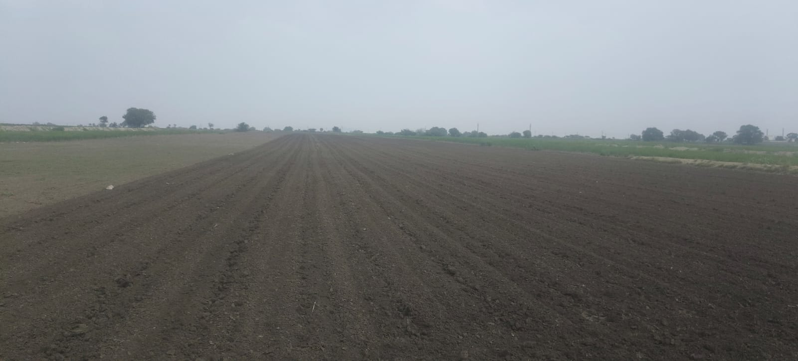 19 Acres Black Soil Agricultural Land for Sale National Highway to 3rd Bit, Andhra Pradesh | BHOOVIX BX-33605