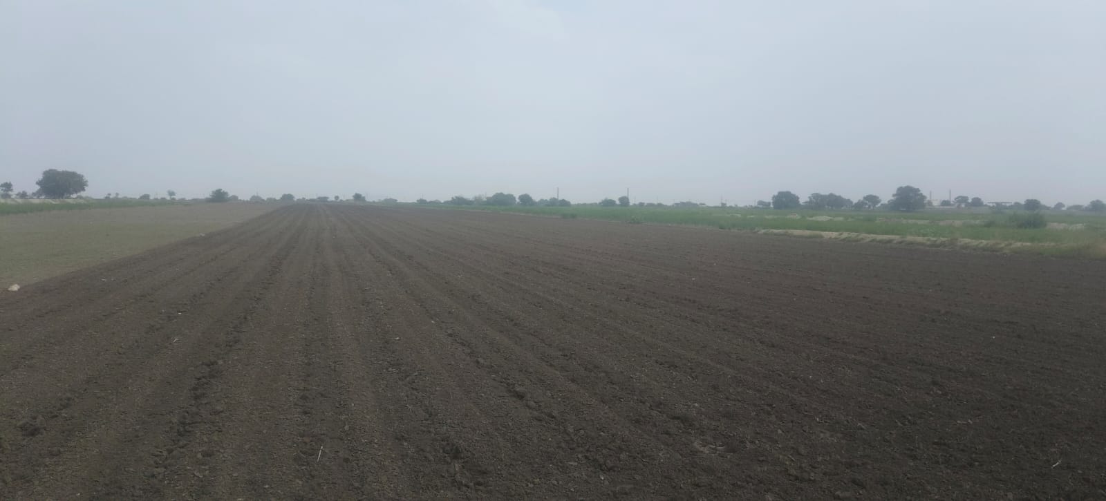 19 Acres Black Soil Agricultural Land for Sale National Highway to 3rd Bit, Andhra Pradesh | BHOOVIX BX-33605