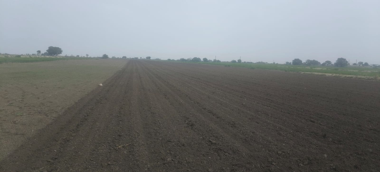 19 Acres Black Soil Agricultural Land for Sale National Highway to 3rd Bit, Andhra Pradesh | BHOOVIX BX-33605