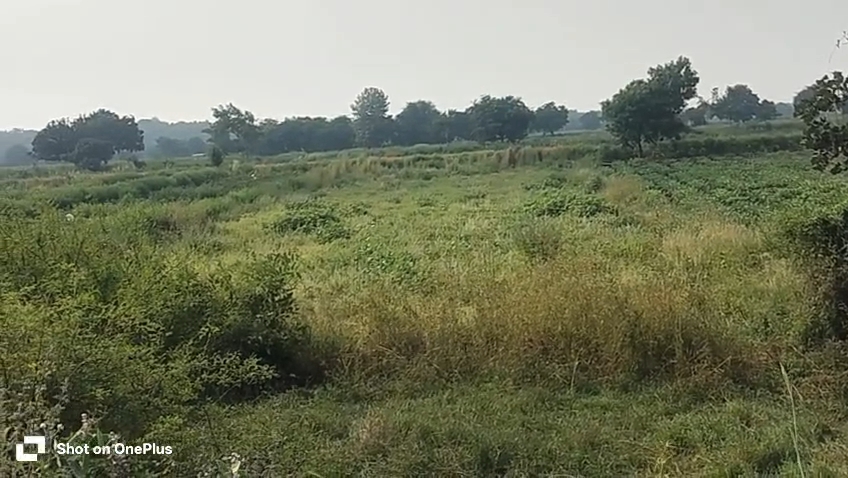| ₹2.80 Lakhs per Gunta | 5 Guntas Black Soil Agricultural Land with BT Road Access | Marpally Mandal, Vikarabad District, Telangana | BHOOVIX BX-33643