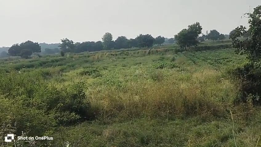 | ₹2.80 Lakhs per Gunta | 5 Guntas Black Soil Agricultural Land with BT Road Access | Marpally Mandal, Vikarabad District, Telangana | BHOOVIX BX-33643