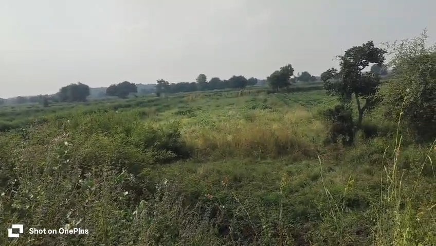 | ₹2.80 Lakhs per Gunta | 5 Guntas Black Soil Agricultural Land with BT Road Access | Marpally Mandal, Vikarabad District, Telangana | BHOOVIX BX-33643