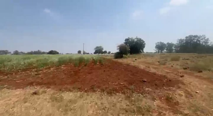 50 Acres Red Soil Agriculture Land in Basavakalyan Taluk, Bidar District, Karnataka| ₹18 Lakhs per Acre | BHOOVIX BX-33649
