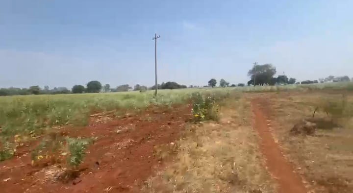 50 Acres Red Soil Agriculture Land in Basavakalyan Taluk, Bidar District, Karnataka| ₹18 Lakhs per Acre | BHOOVIX BX-33649
