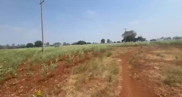 50 Acres Red Soil Agriculture Land in Basavakalyan Taluk, Bidar District, Karnataka| ₹18 Lakhs per Acre | BHOOVIX BX-33649