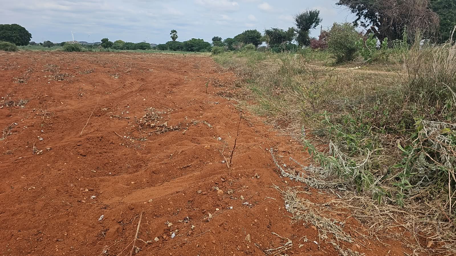 2.17 Acres Canal Attached Red Soil Land in Devanakonda Mandal, Kurnool District, Andhra Pradesh | ₹11 Lakhs per Acre | BHOOVIX BX-33690