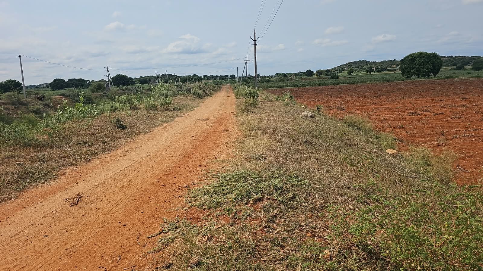 2.17 Acres Canal Attached Red Soil Land in Devanakonda Mandal, Kurnool District, Andhra Pradesh | ₹11 Lakhs per Acre | BHOOVIX BX-33690