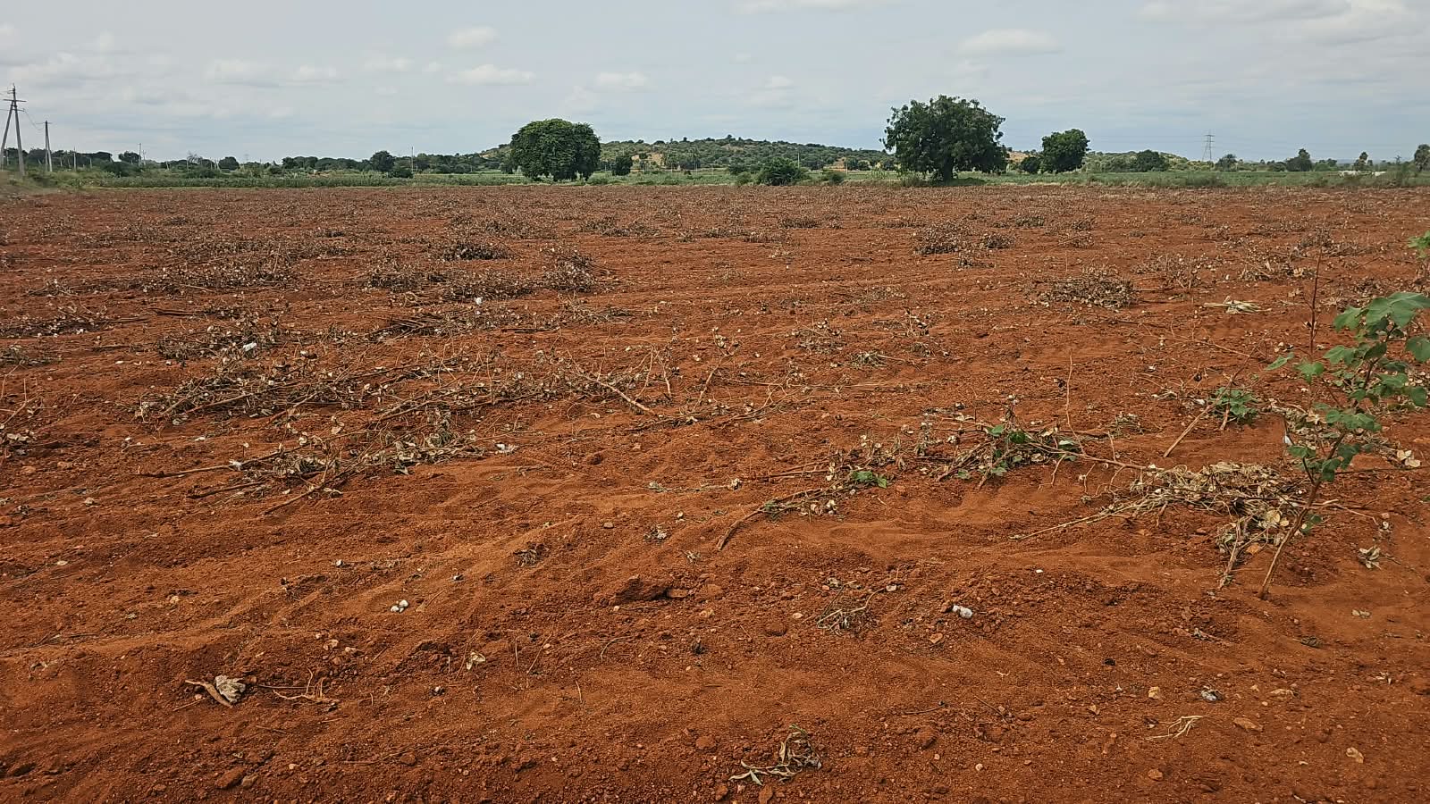 2.17 Acres Canal Attached Red Soil Land in Devanakonda Mandal, Kurnool District, Andhra Pradesh | ₹11 Lakhs per Acre | BHOOVIX BX-33690