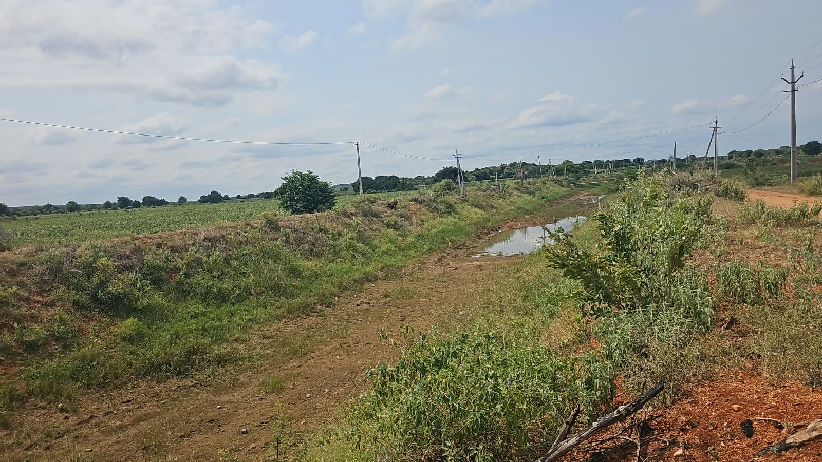 2.17 Acres Canal Attached Red Soil Land in Devanakonda Mandal, Kurnool District, Andhra Pradesh | ₹11 Lakhs per Acre | BHOOVIX BX-33690