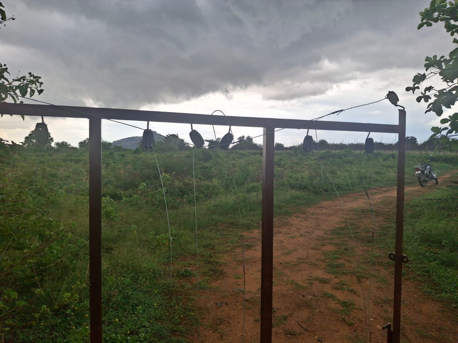 6 Acres Red Soil Land for Sale in Kalakada Mandal, Annamayya District, Andhra Pradesh| ₹23 Lakhs per Acre | BHOOVIX BX-33756