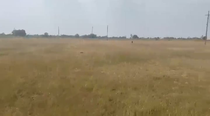 3 Acres 15 Guntas Red Soil Agriculture Land for Sale in Basavakalyan Taluk, Bidar District, Karnataka|  | ₹1600000/Acre | BHOOVIX BX-33696