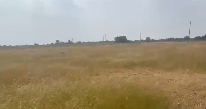 3 Acres 15 Guntas Red Soil Agriculture Land for Sale in Basavakalyan Taluk, Bidar District, Karnataka|  | ₹1600000/Acre | BHOOVIX BX-33696