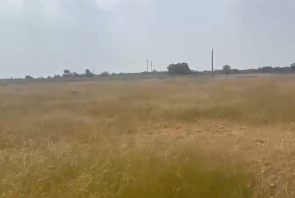 Red Soil Agricultural Land
