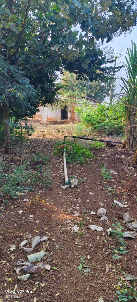1 Acre 20 Guntas Red Soil Agriculture Land for Sale in Marpally Mandal, Vikarabad District, Telangana |  | ₹75 Lakhs per Acre | BHOOVIX BX-33767