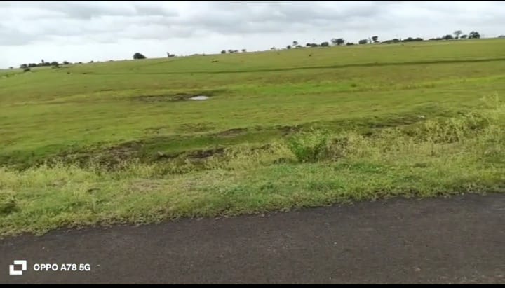 16 Acres Black Soil BT Road Attached Agriculture Land for Sale in Humnabad Taluk, Bidar District, Karnataka | BHOOVIX BX-33743