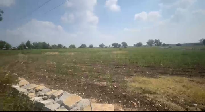 2 Acres SH Facing Black Soil Land for Sale in Shahabad taluk, kalaburagi Taluk, Karnataka | ₹30 Lakhs per Acre | BHOOVIX BX-33781