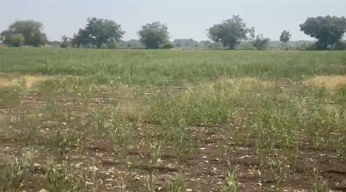 2 Acres SH Facing Black Soil Land for Sale in Shahabad taluk, kalaburagi Taluk, Karnataka | ₹30 Lakhs per Acre | BHOOVIX BX-33781