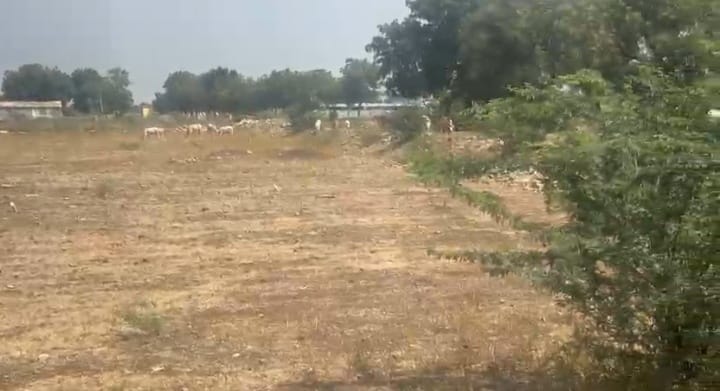 4 acres 25 Guntas Black Soil Land for Sale in Shahabad Mandal, Kalaburagi State, Karnataka| ₹17 Lakhs per Acre | BHOOVIX BX-33794
