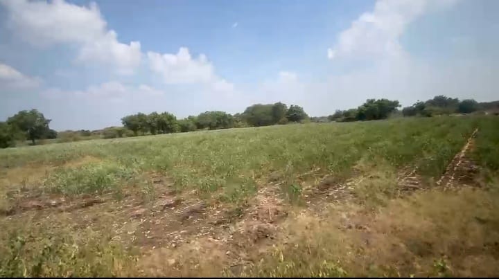 3 Acres Black Soil Land for Sale in Shahabad Taluk, Kalaburagi District, Karnataka | ₹15 Lakhs per Acre | BHOOVIX BX-33800