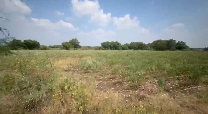 3 Acres Black Soil Land for Sale in Shahabad Taluk, Kalaburagi District, Karnataka | ₹15 Lakhs per Acre | BHOOVIX BX-33800