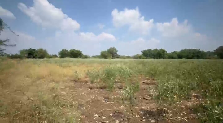 3 Acres Black Soil Land for Sale in Shahabad Taluk, Kalaburagi District, Karnataka | ₹15 Lakhs per Acre | BHOOVIX BX-33800