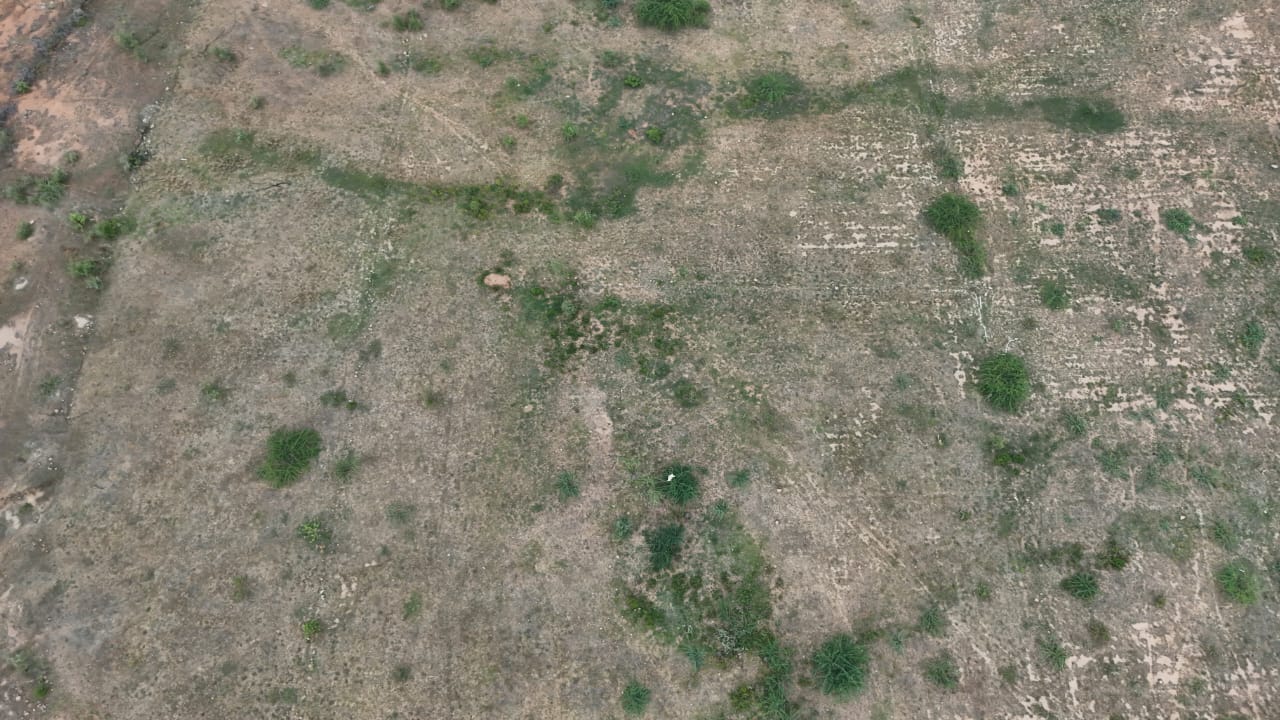 12 Acres Red Soil Agriculture Land for Sale in Tadimarri Mandal, Sri Sathya Sai  District, Andhra Pradesh | ₹8.50 Lakhs Per Acre | BHOOVIX BX-33816