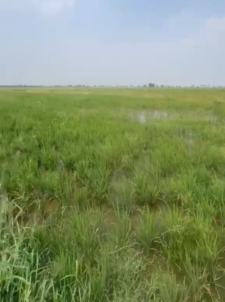 Black Soil Agricultural Land