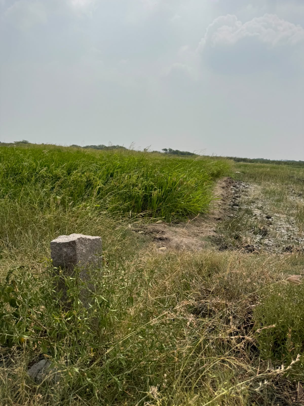 4 Acres 15 Guntas Black Soil Agricultural Land for Sale in Rajoli Mandal, jogulamba Gadwal District, Telangana |₹16 Lakhs per acre| BHOOVIX BX-33831
