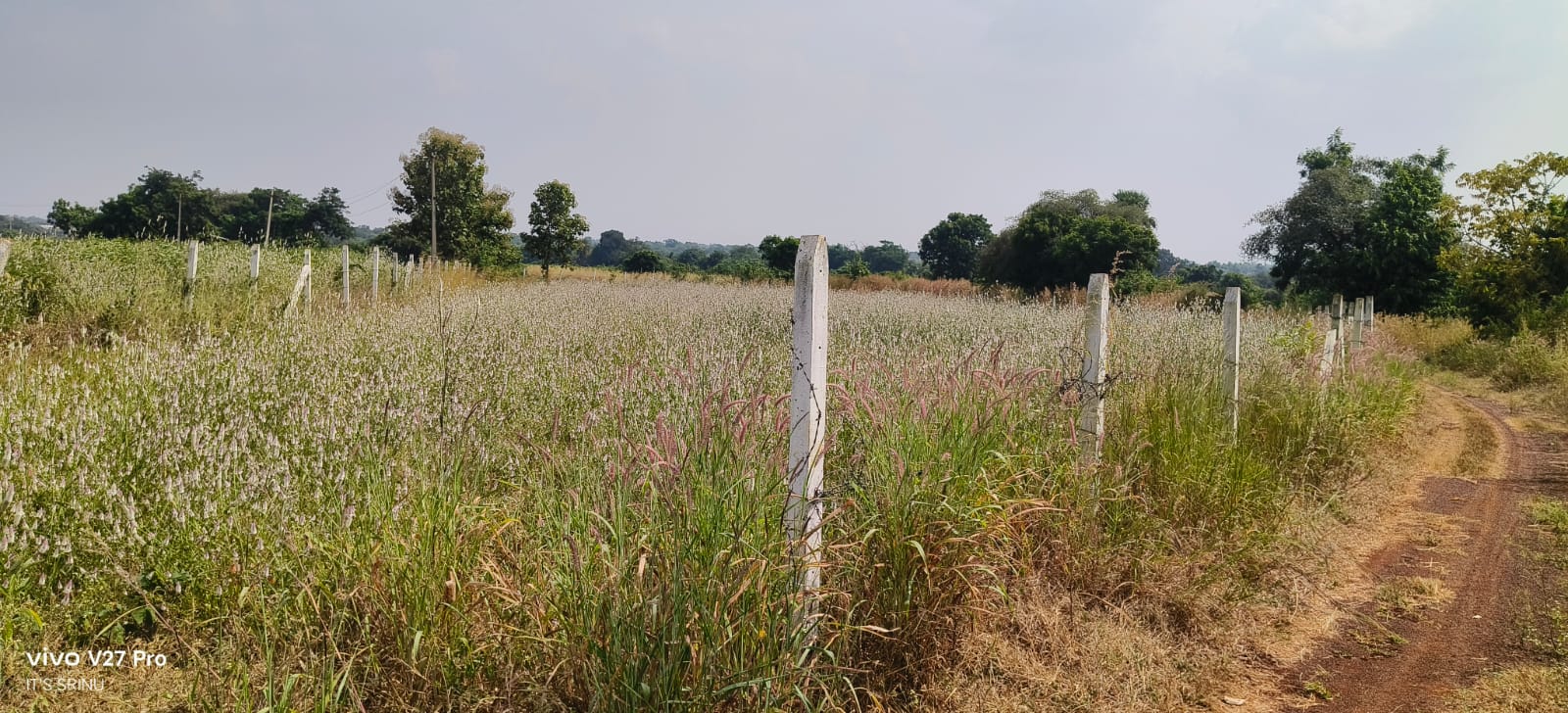 19 Guntas Red soil Agriculture Land for Sale in Marpally Mandal, Vikarabad District, Telangana – ₹2 Lakhs Per Gunta | BHOOVIX BX-33894